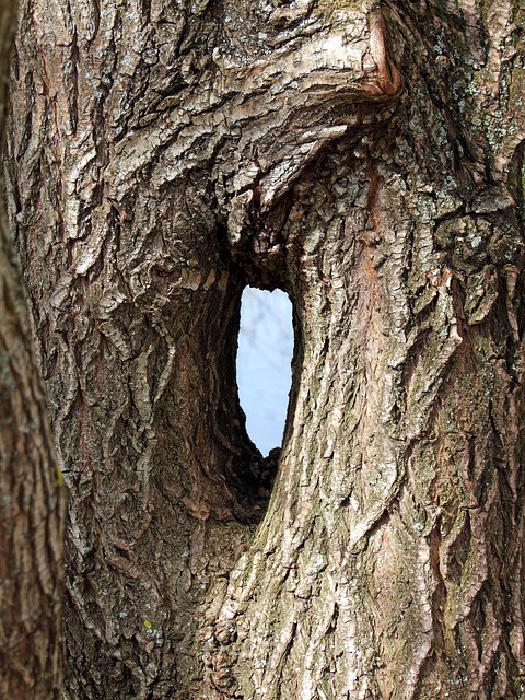 Scientists Just Confirmed a Black Hole That Shouldn't Exist — and Glasgow Helped Catch It