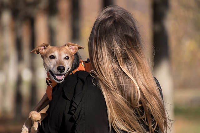 'She Saved My Life': 13-Year-Old Rescue Dog Leads Police to Injured Owner