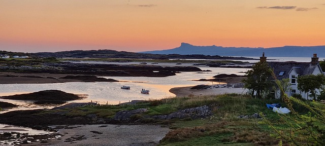 Why the Isle of Eigg Hatched a Plan to Grow Its Own Trees