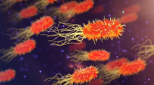 A step closer to stopping the virus almost all of us carry