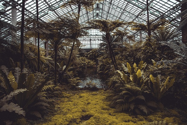 Light returns to Springburn's 'forgotten Eden' as Winter Gardens win £1.129m lifeline
