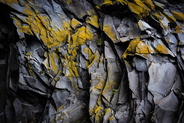 How Oxygen May Have Sparked the Rise of Complex Life